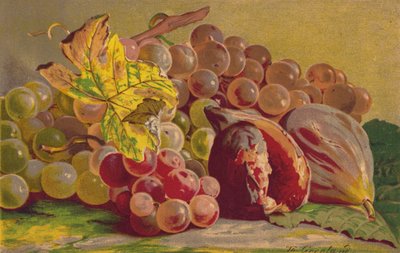 Figs and Grapes by English School